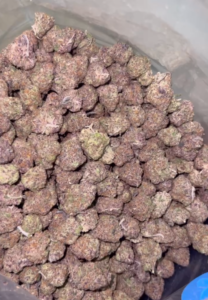 Blackberry Cannabis